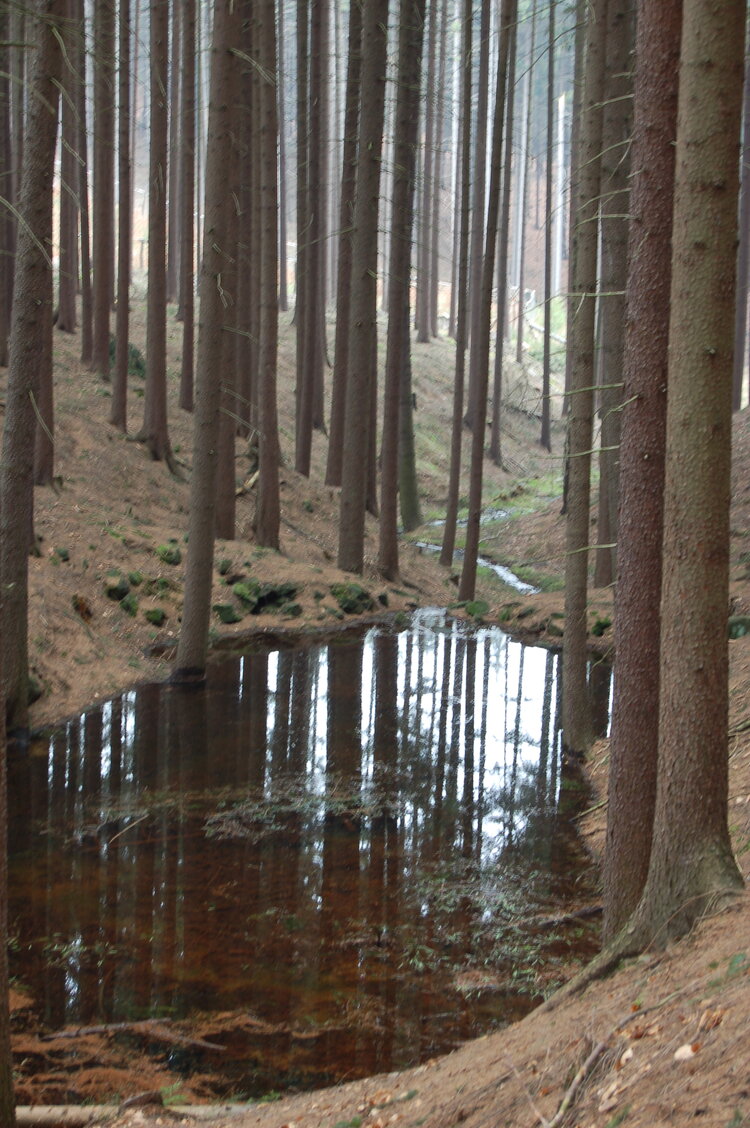 an1_012736.jpg