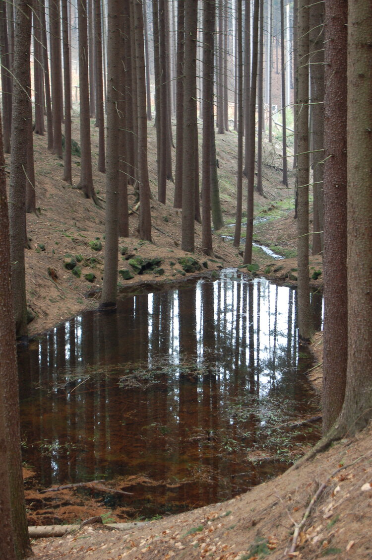 an1_012737.jpg