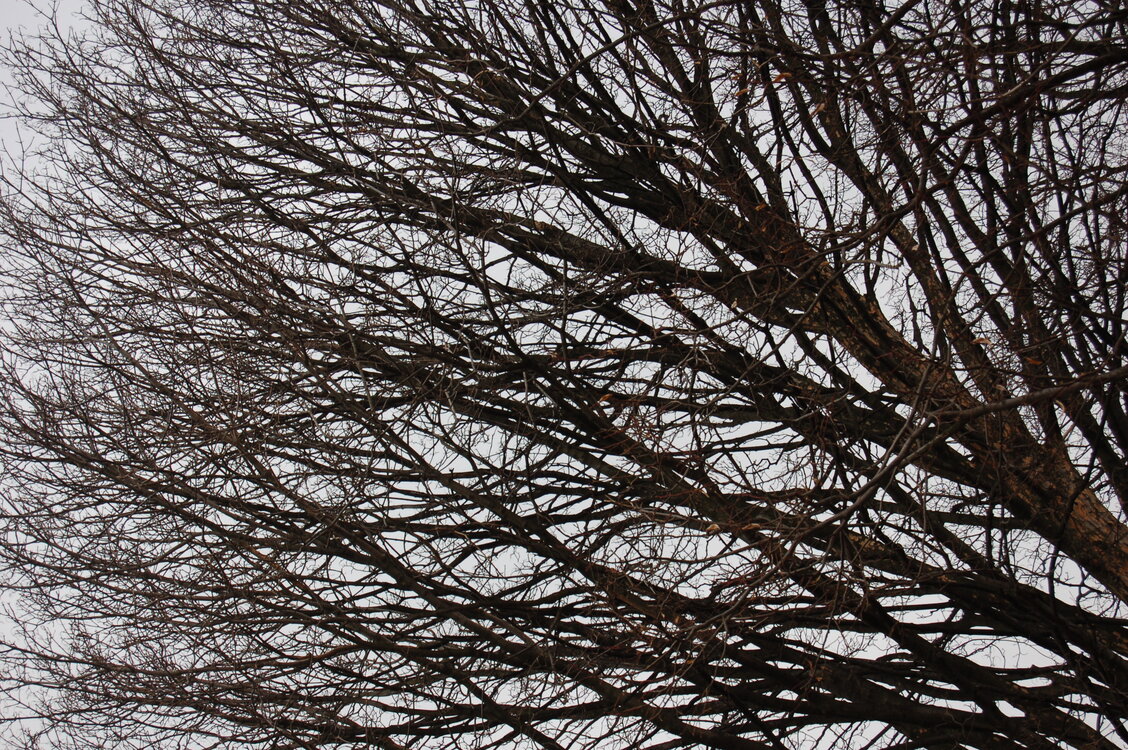 an1_012750.jpg