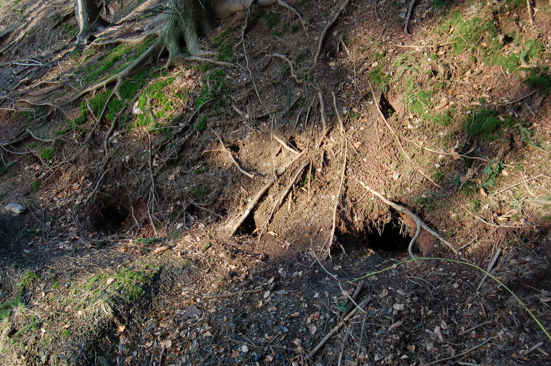 an1_012756.jpg