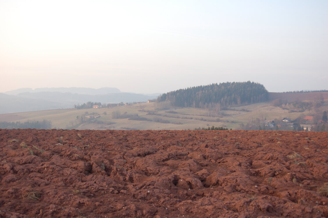 an1_012761.jpg