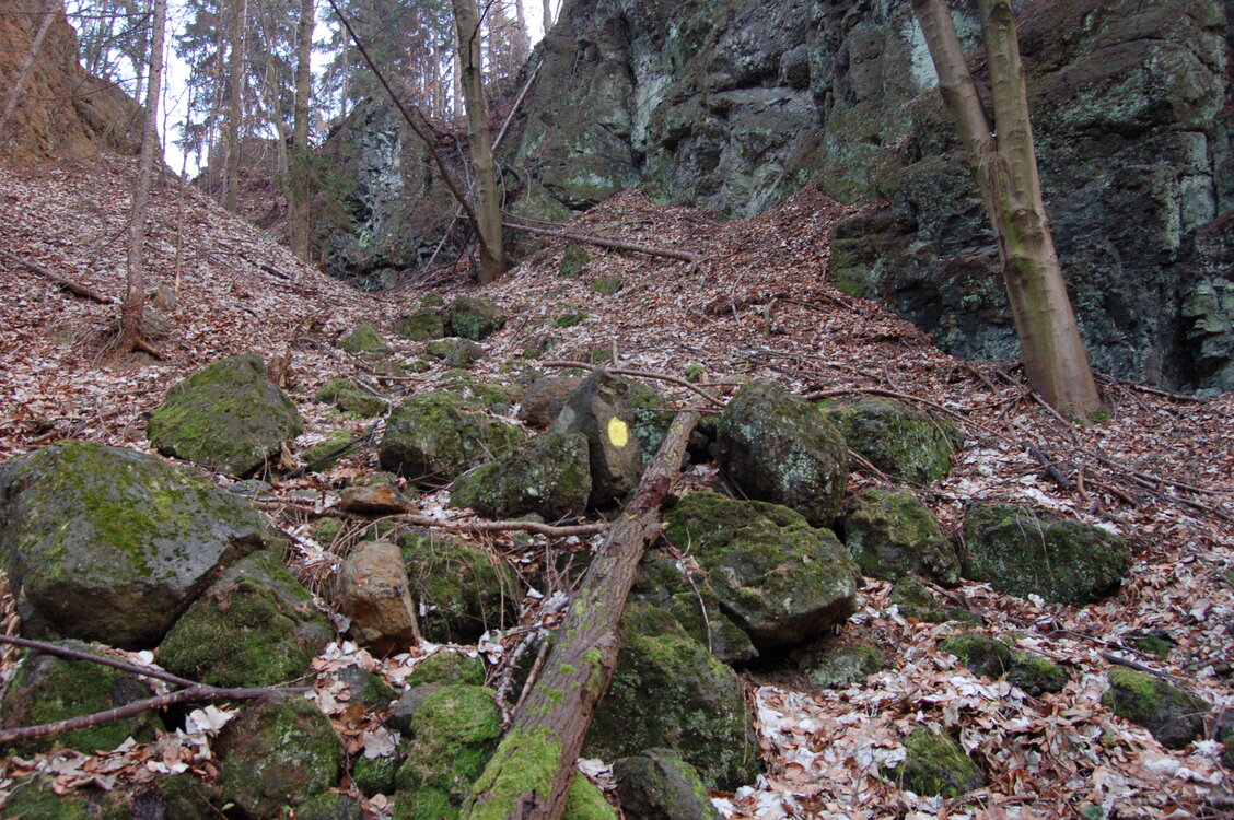 an1_012764.jpg