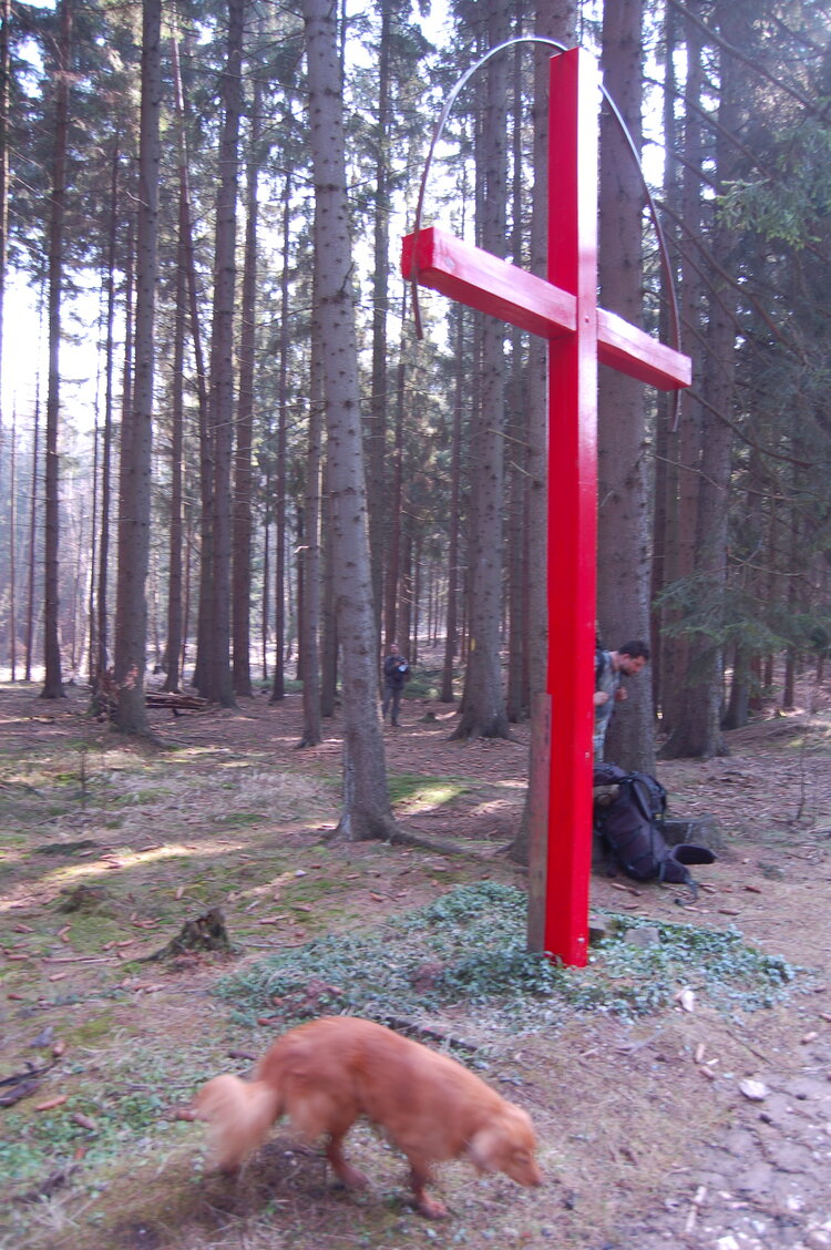 an1_012777.jpg