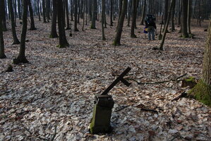 an1_012668.jpg