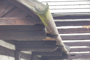 an1_012687.jpg