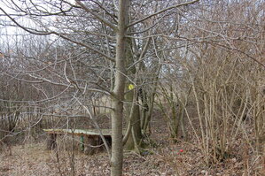an1_012688.jpg