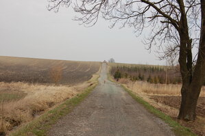 an1_012691.jpg