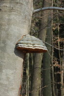 an1_012700.jpg