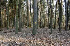 an1_012703.jpg