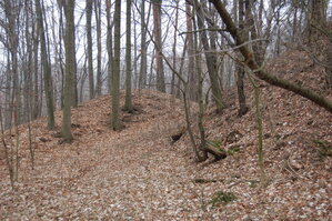 an1_012726.jpg
