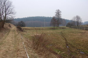 an1_012728.jpg