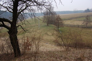 an1_012729.jpg