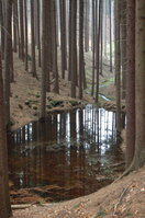 an1_012737.jpg