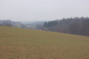 an1_012746.jpg
