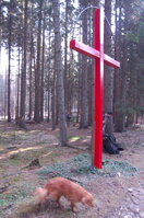 an1_012777.jpg