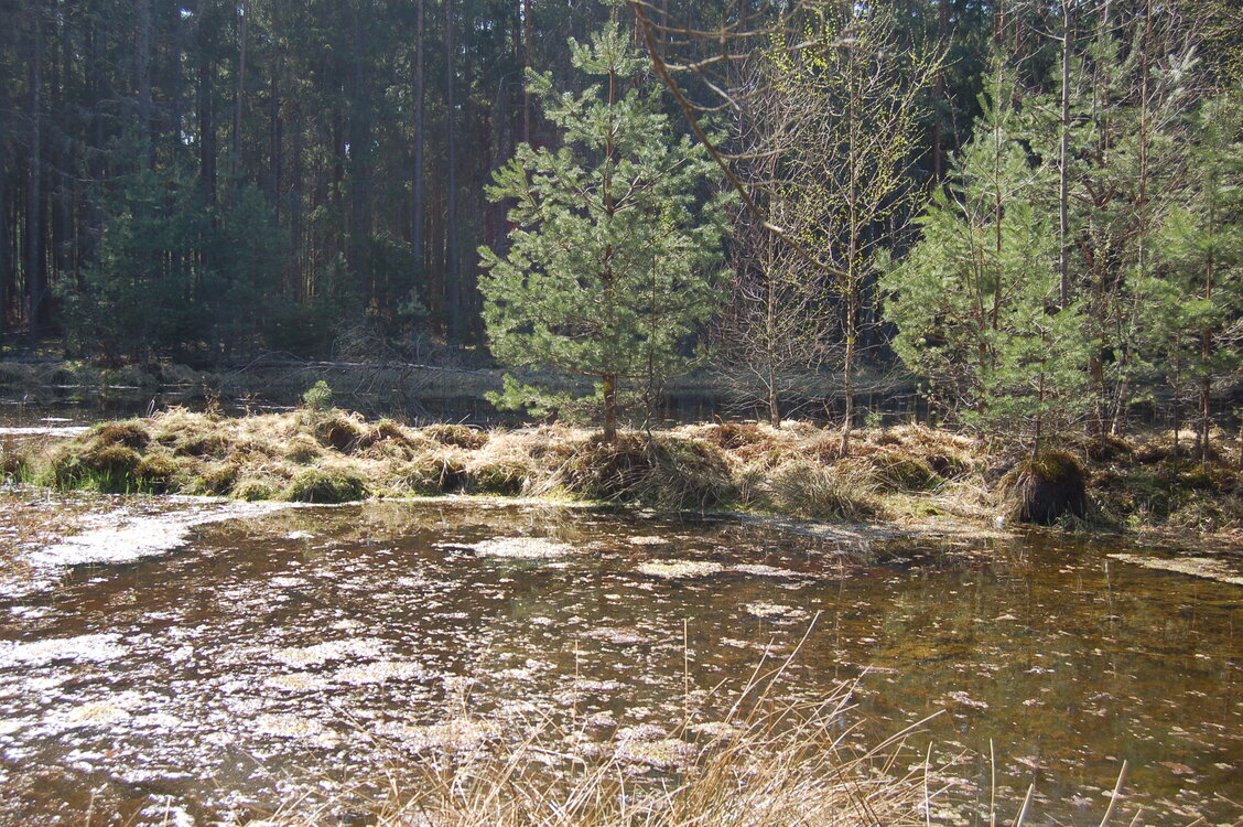 an1_018789.jpg