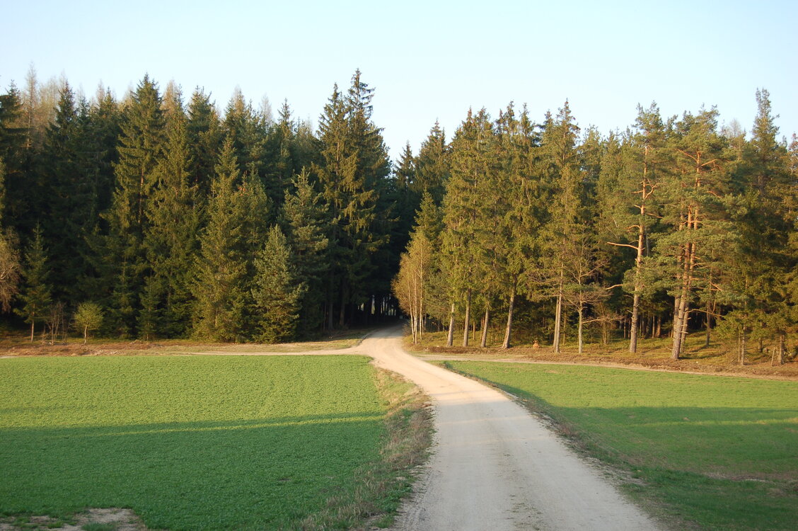 an1_018797.jpg