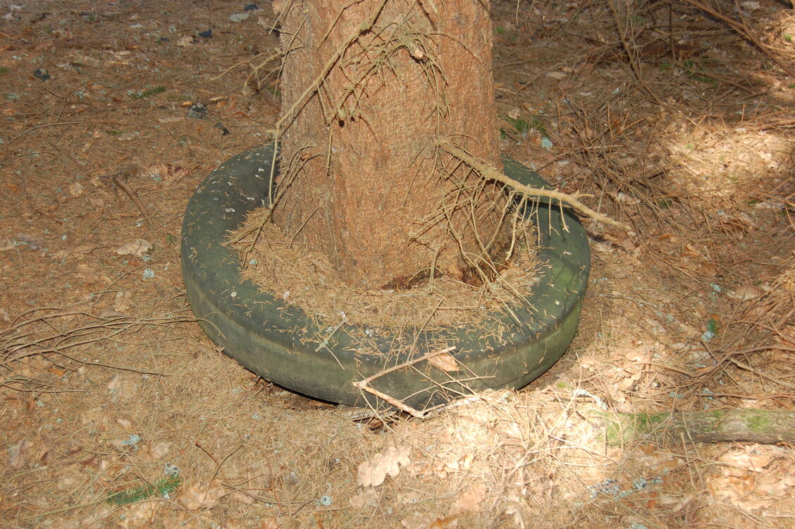 an1_018814.jpg
