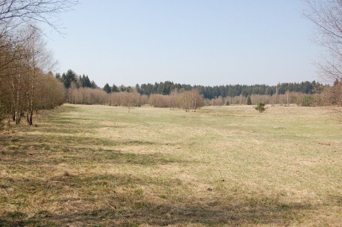 an1_018816.jpg