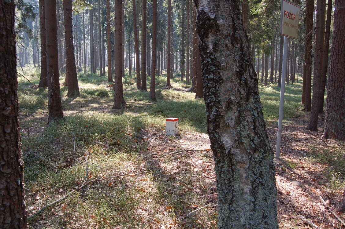 an1_018827.jpg