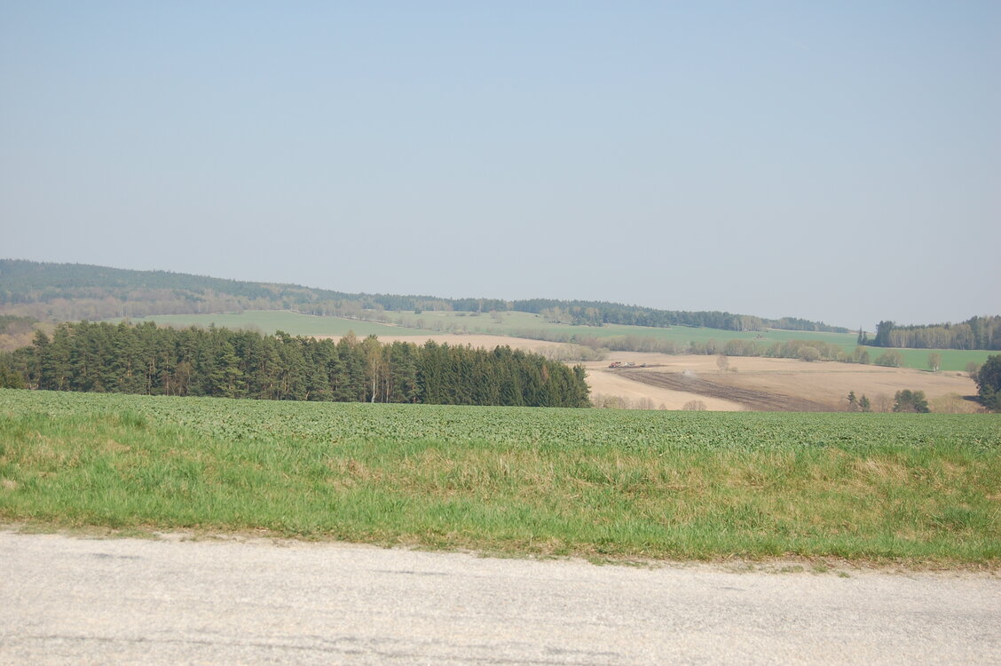 an1_018832.jpg
