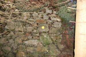 an1_018773.jpg