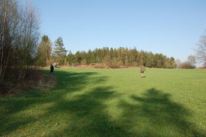 an1_018792.jpg