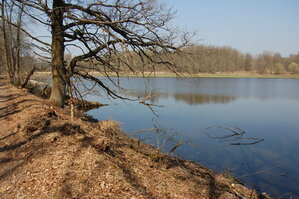 an1_018817.jpg