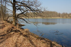 an1_018818.jpg
