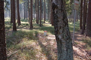 an1_018827.jpg