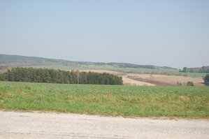 an1_018832.jpg