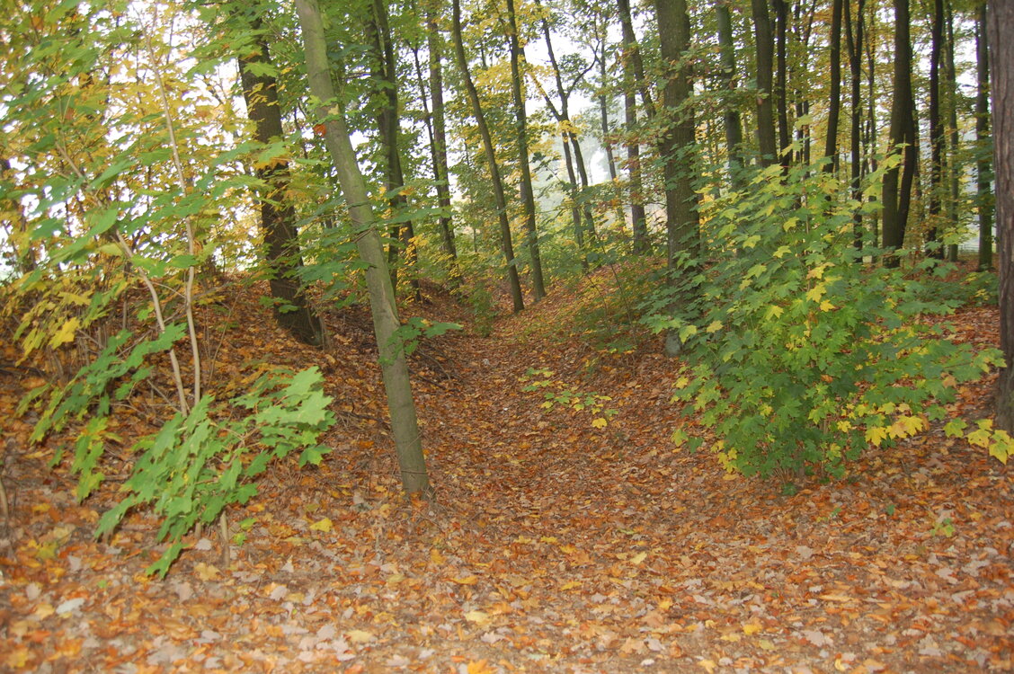 an1_009218.jpg