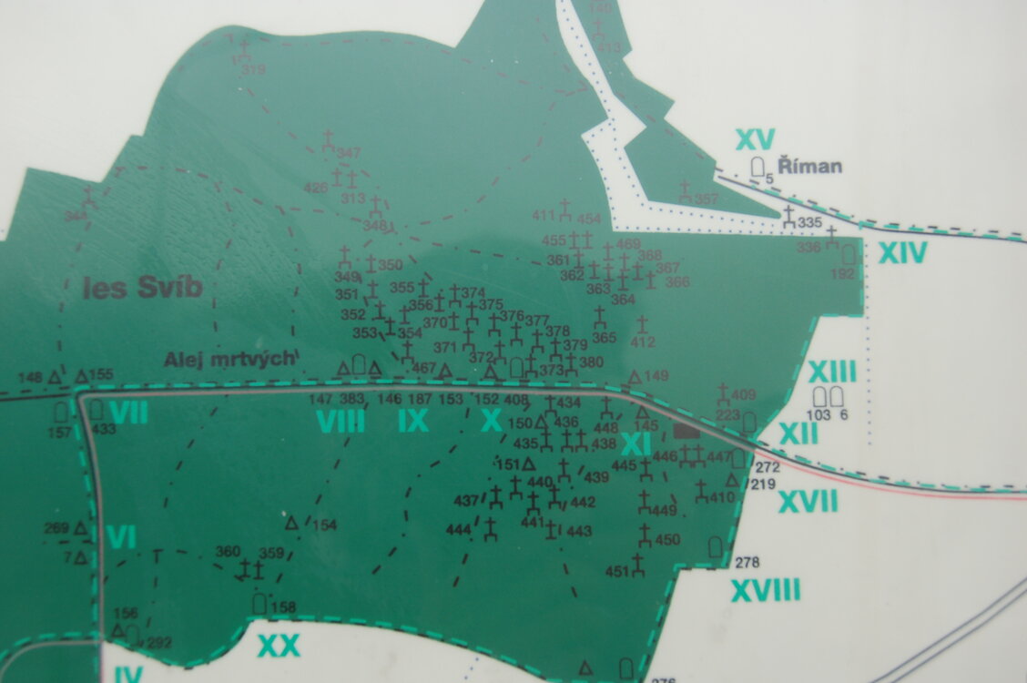 an1_009219.jpg