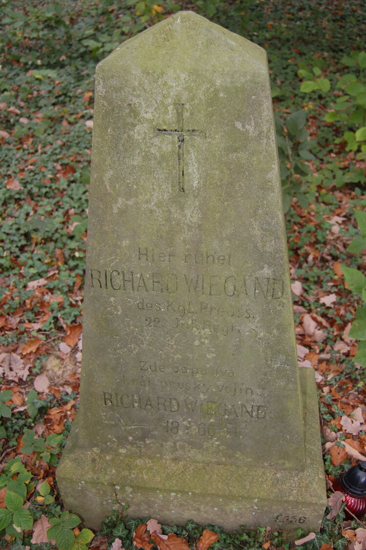 an1_009223.jpg