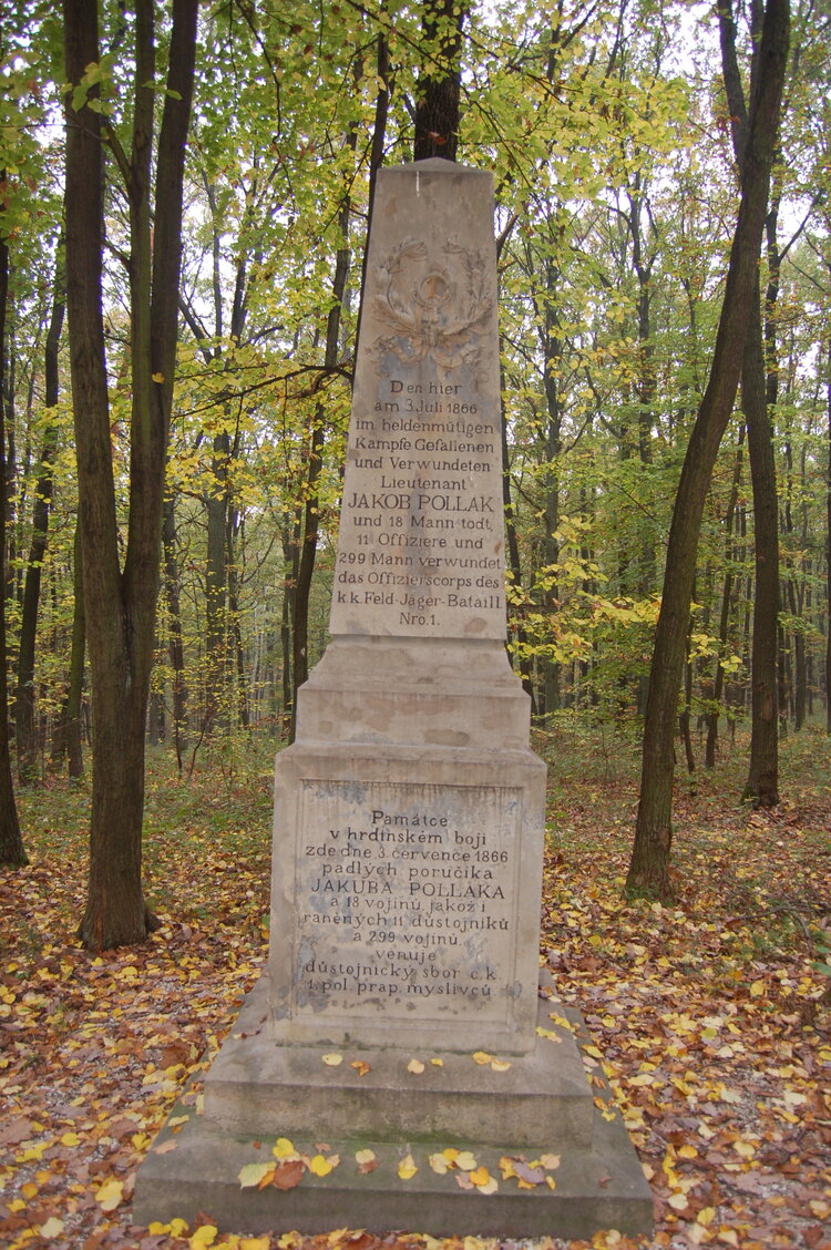 an1_009224.jpg