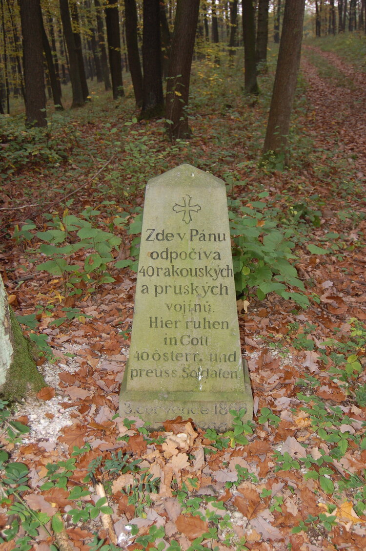 an1_009225.jpg
