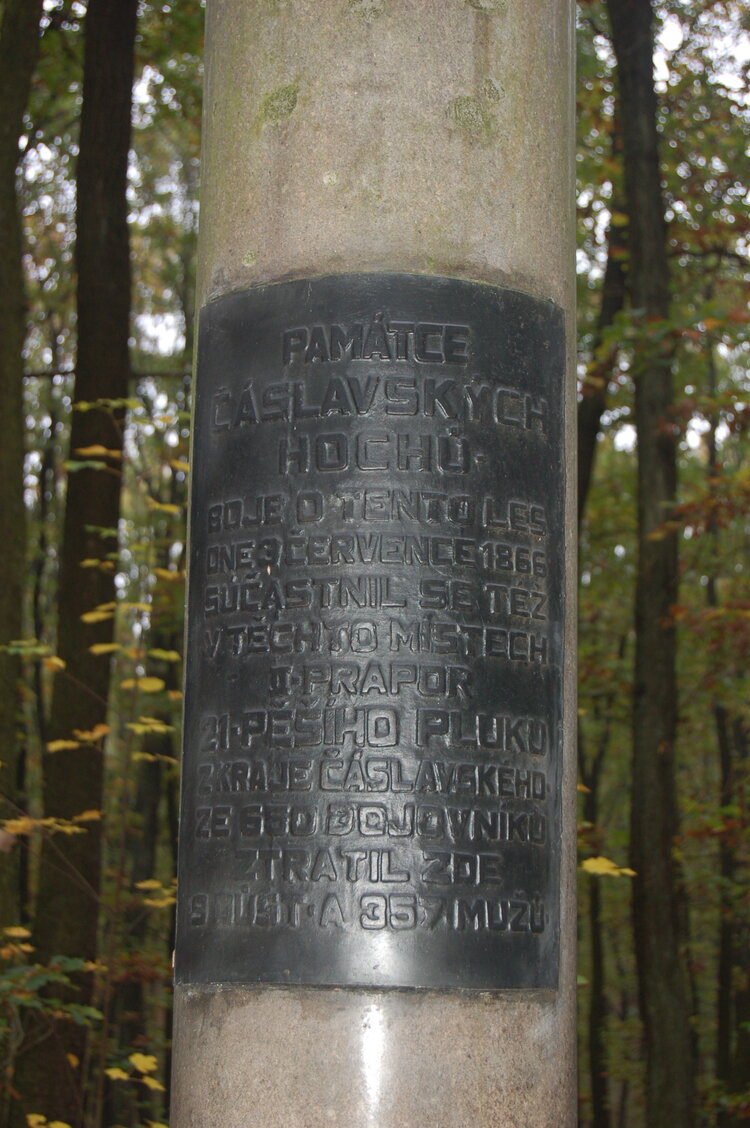 an1_009228.jpg
