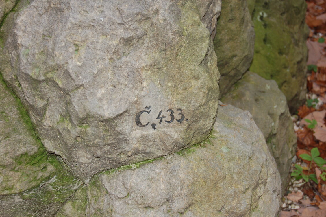 an1_009229.jpg
