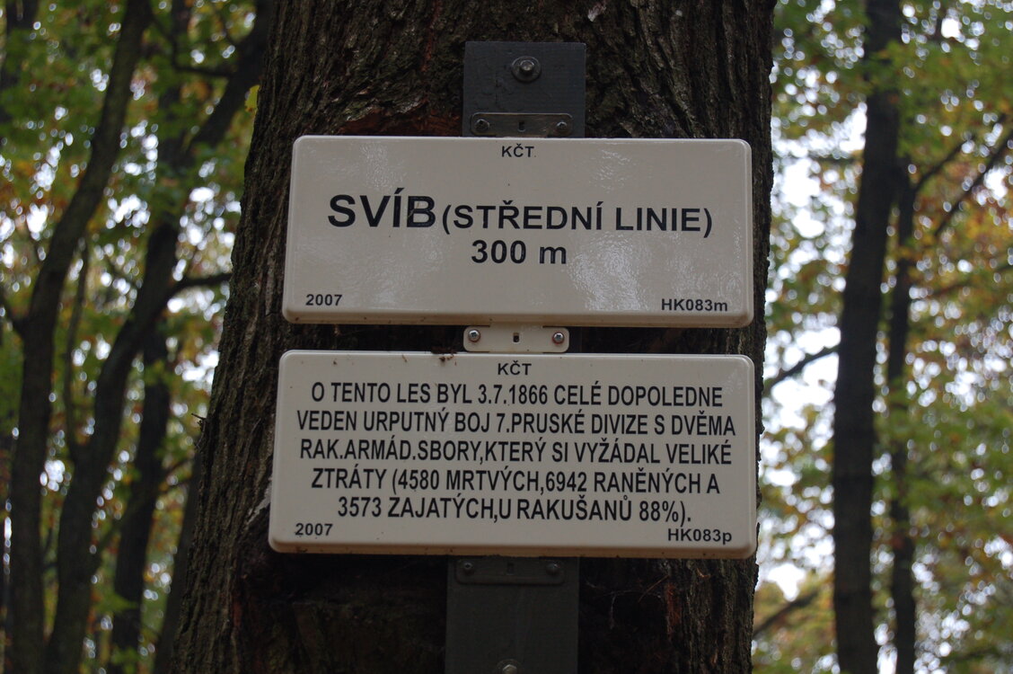 an1_009230.jpg