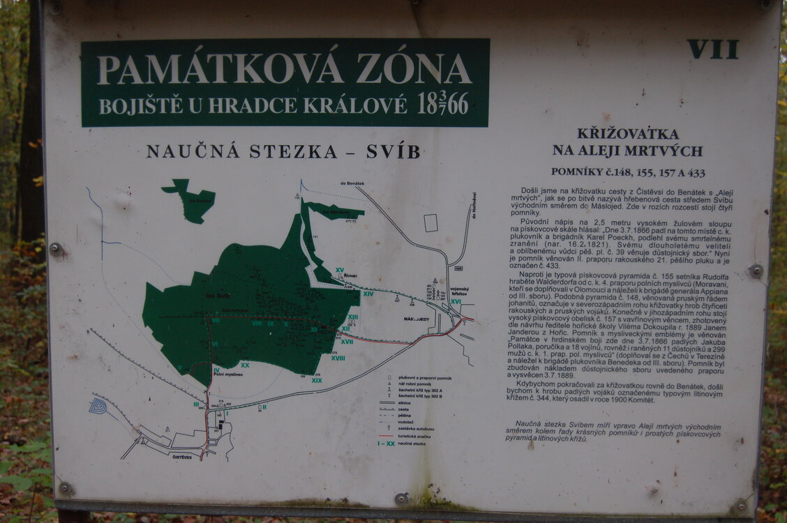 an1_009231.jpg