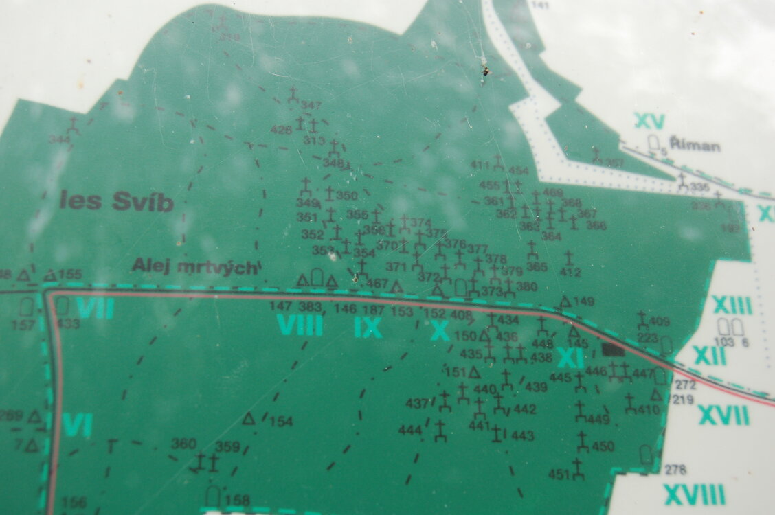 an1_009235.jpg