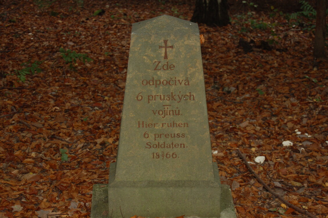 an1_009236.jpg