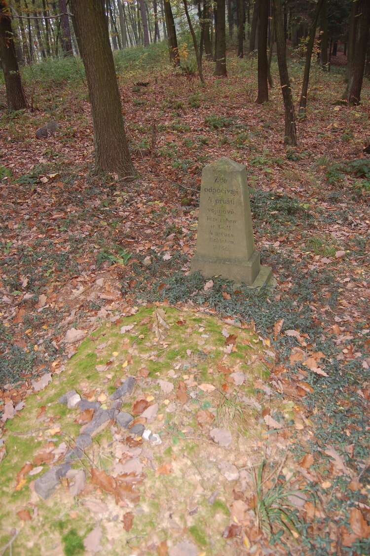 an1_009237.jpg
