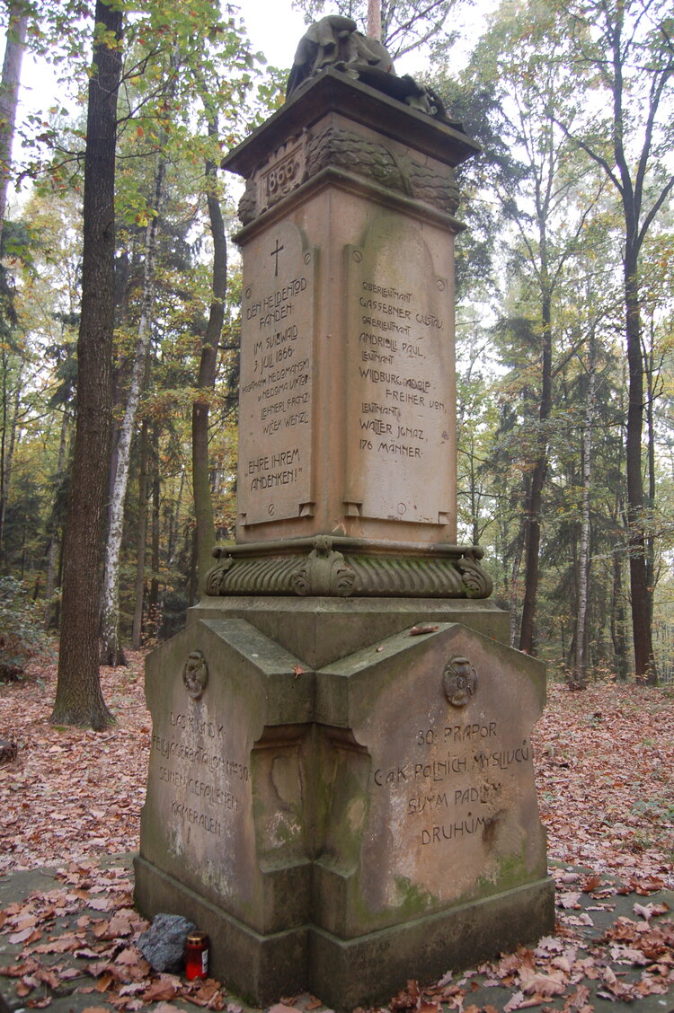 an1_009239.jpg