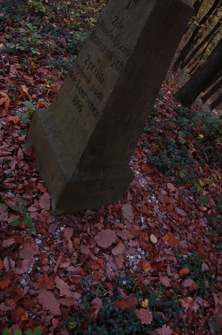 an1_009244.jpg