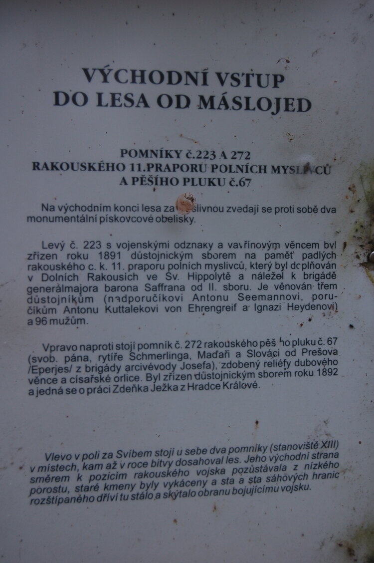an1_009249.jpg