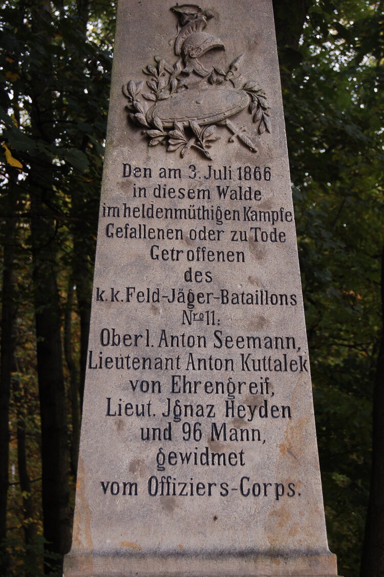 an1_009250.jpg