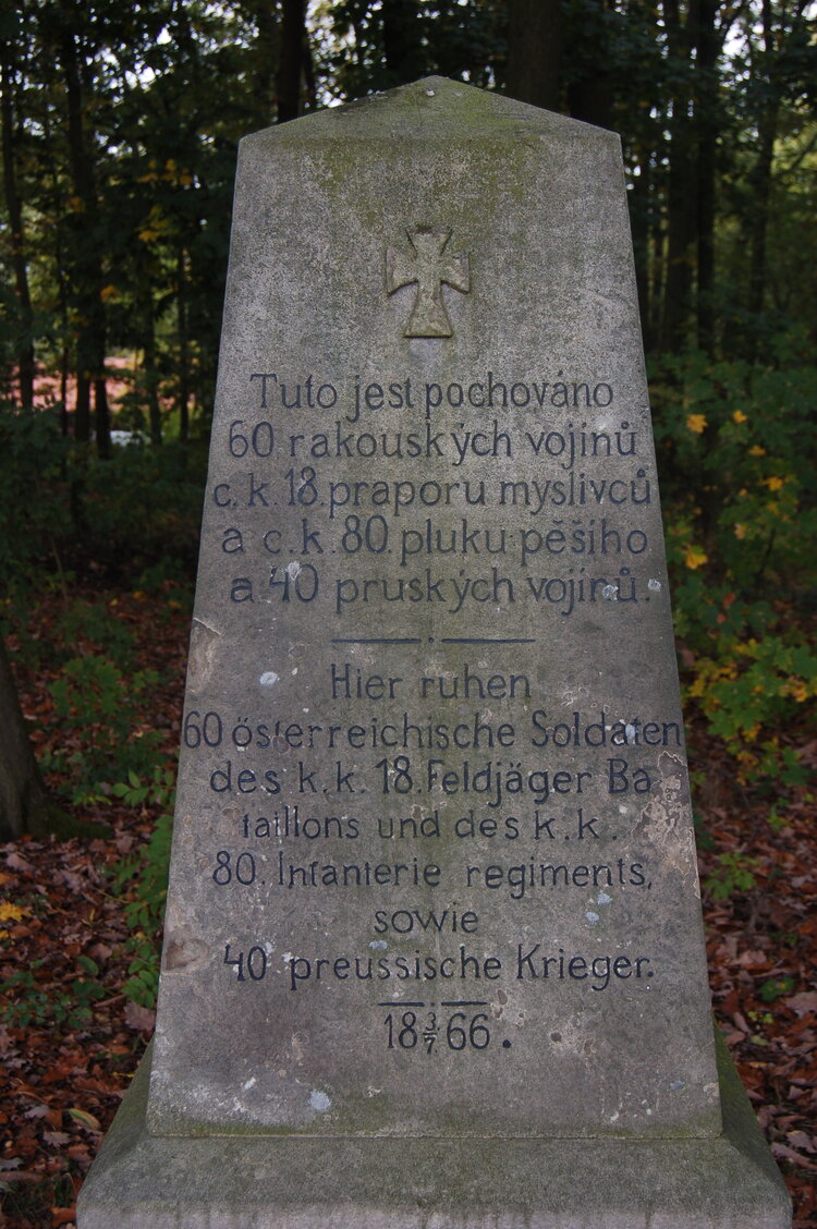an1_009255.jpg