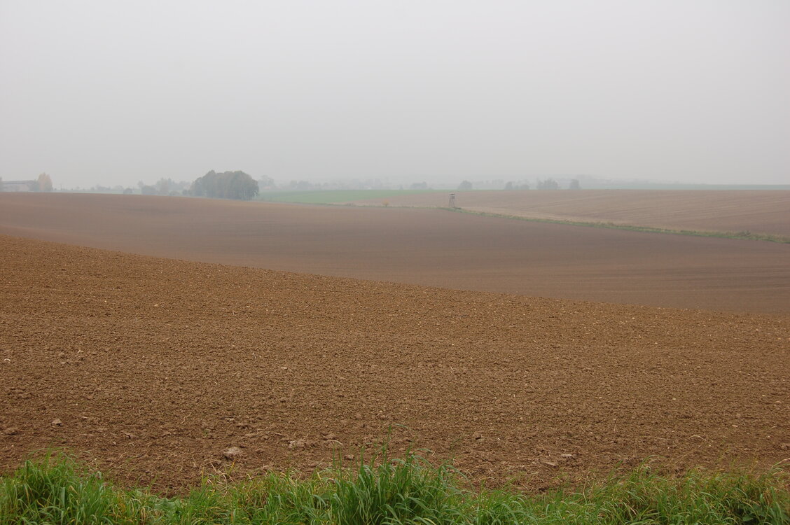 an1_009271.jpg