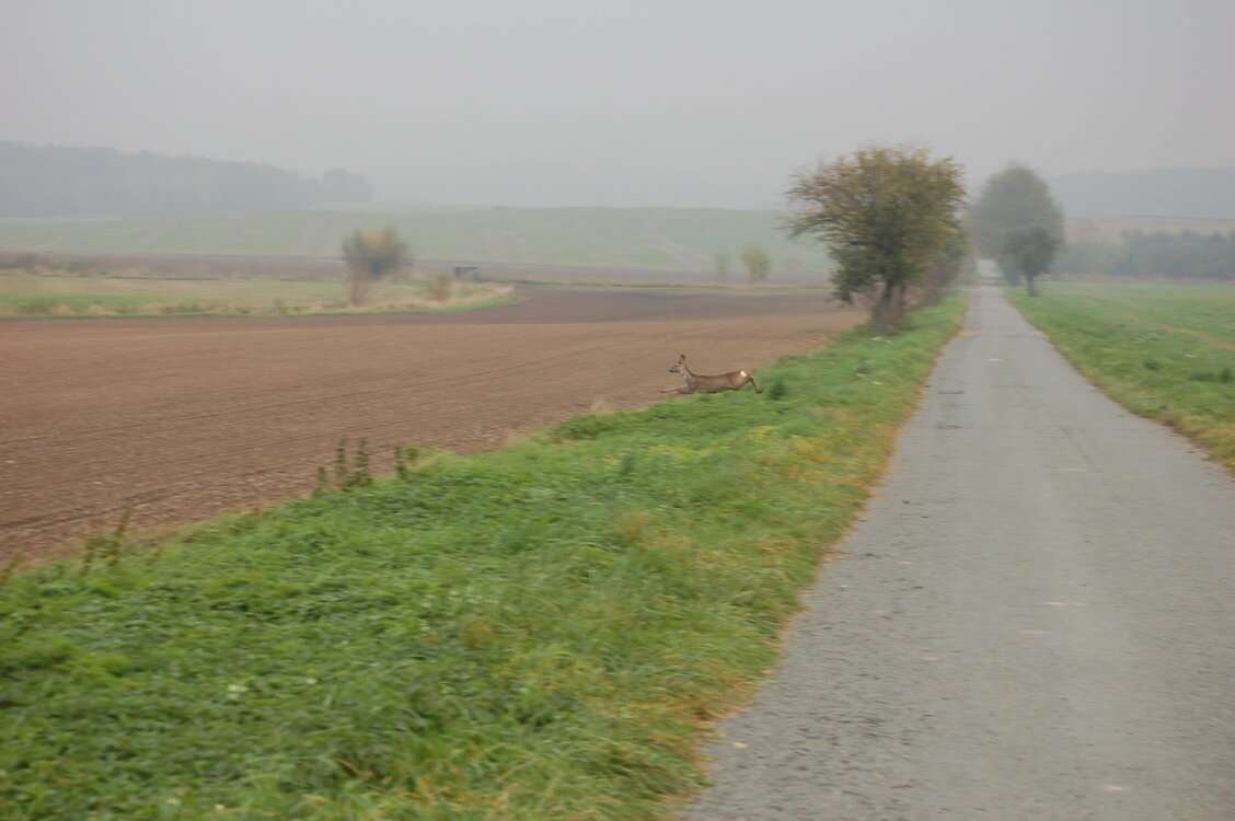 an1_009274.jpg